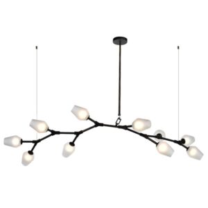 Custom Ceiling Light