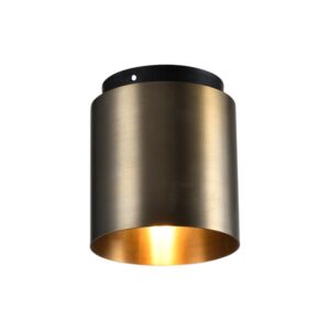 Custom Ceiling Mount Luminaire